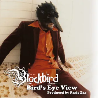 Bird's Eye View by Blackbird