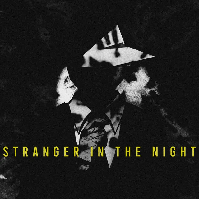 Stranger In The Night