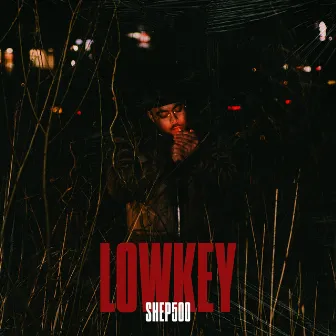 Lowkey by Shep500