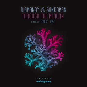 Through the Meadow (GMJ Remix) by Diamandy