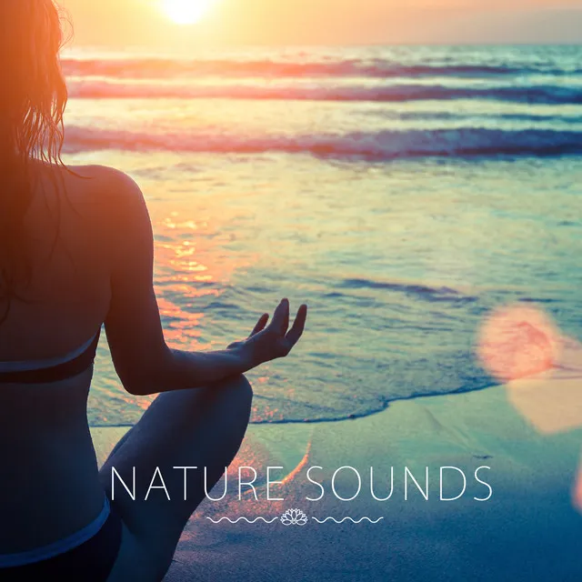 Nature Sounds