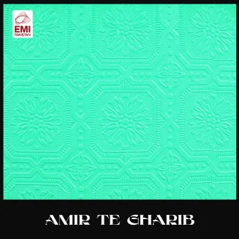 Amir Te Gharib (Original Motion Picture Soundtrack) by Tassawar Khanum