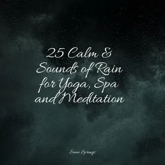 25 Calm & Sounds of Rain for Yoga, Spa and Meditation by Rain Makers