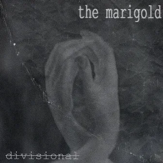 Divisional by The Marigold