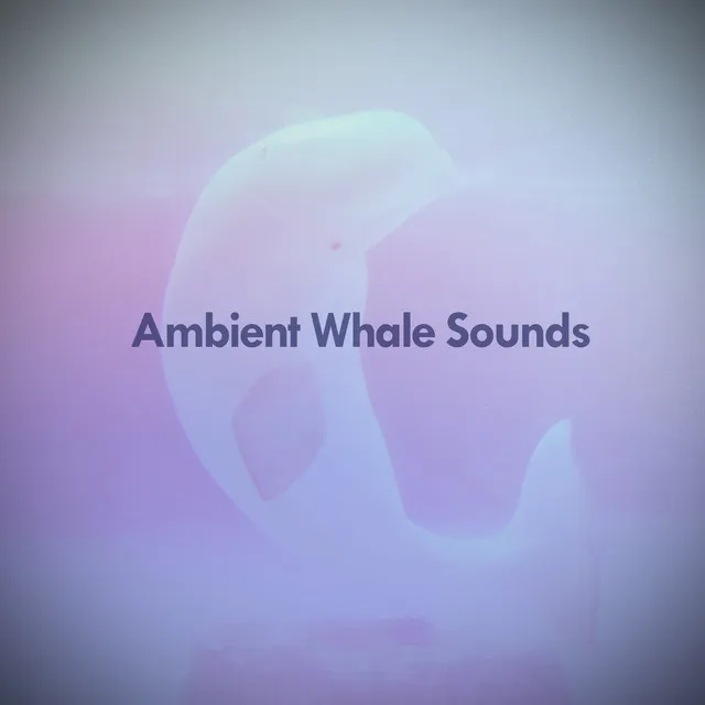 Humpback Sounds