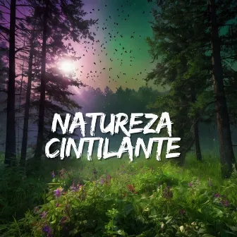 Natureza Cintilante by 