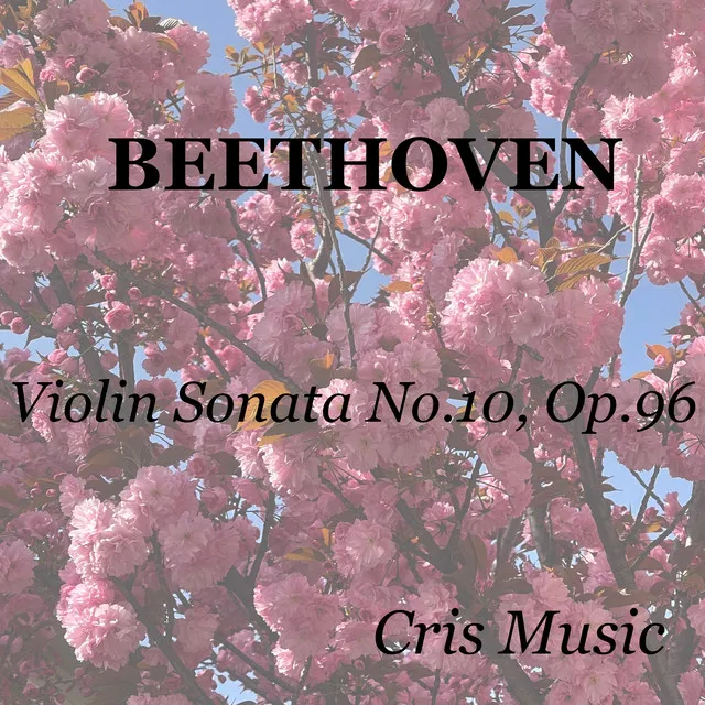 Violin Sonata NO. 10 in G Major, Op.96: I. Allegro Moderato