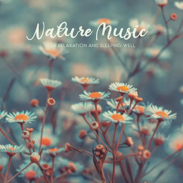 Nature Music for Relaxation and Sleeping Well. Nature Lullabies, Soothing Evening Sounds, Natural Tension Relief