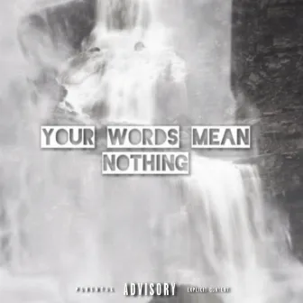 Your Words Mean Nothing by SLM