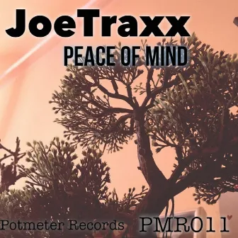 Peace of Mind by JoeTraxx