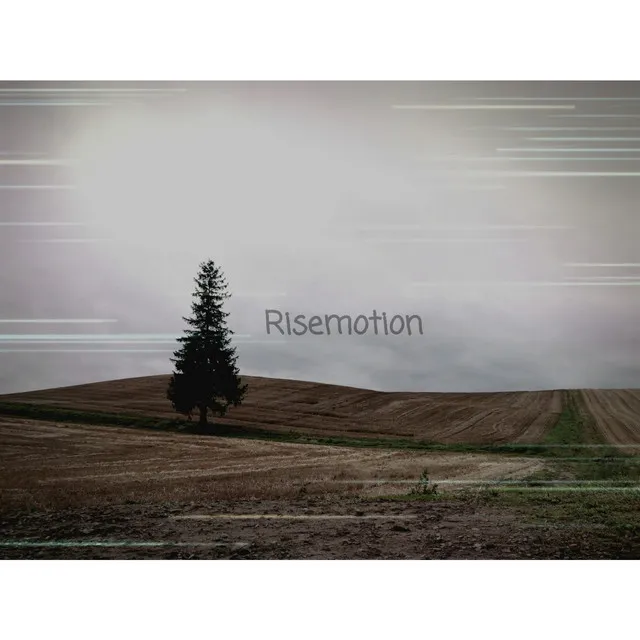 Risemotion