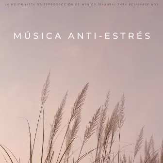 Música Anti-Estrés: La Mejor Lista De Reproducción De Música Binaural Para Relajarse Hoy by Zona de Música Sexual