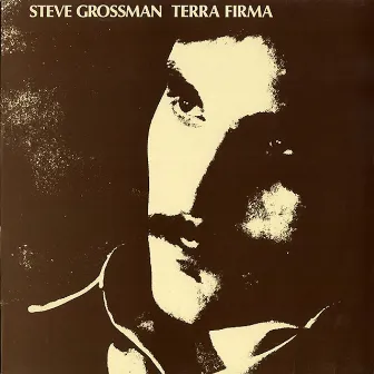 Terra Firma by Steve Grossman