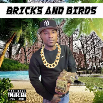 Bricks and Birds by Oohwop