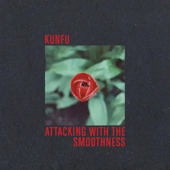 Attacking With The Smoothness by Kunfu