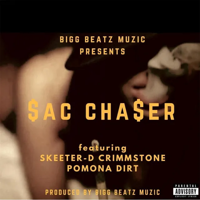 Sac Chaser