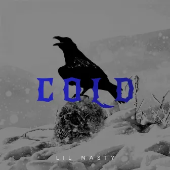 Cold by Lil Nasty