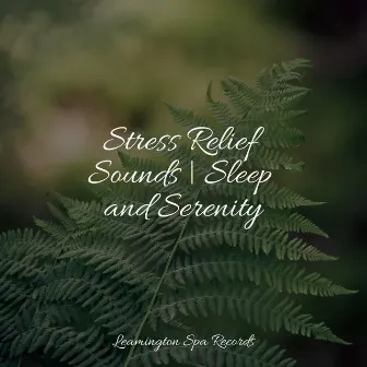 Stress Relief Sounds | Sleep and Serenity by Soothing Baby Music