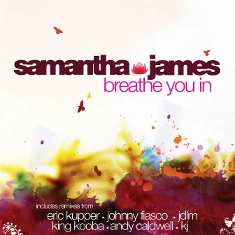 Breathe You In by Samantha James