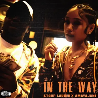 In the Way by Stoop Lauren