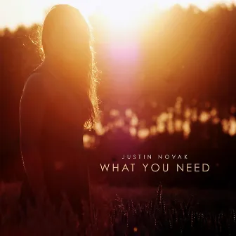 What You Need by Justin Novak