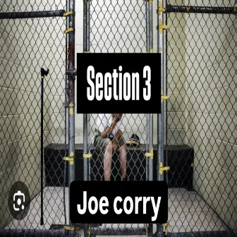 Section 3 (2024) by Joe Corry