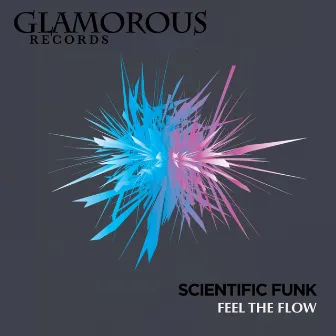 Feel The Flow by Scientific Funk