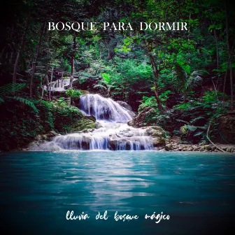 Bosque Para Dormir by Musica Ambiente de The Wood