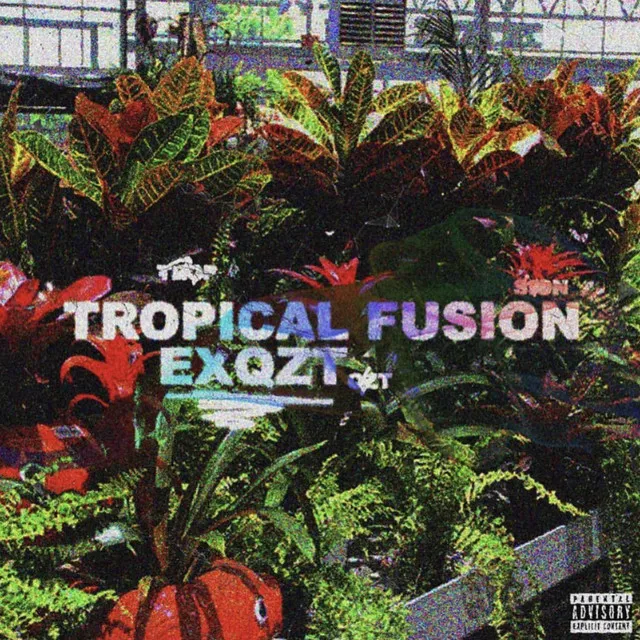 Tropical Fusion