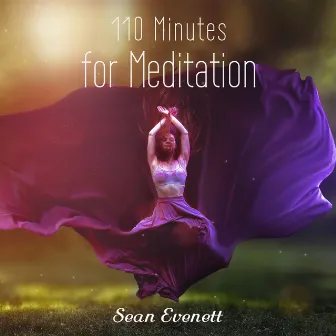 110 Minutes for Meditation by Sean Evenett