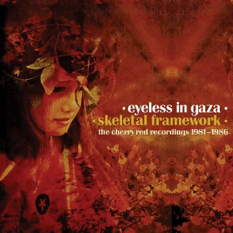 Skeletal Framework: The Cherry Red Recordings 1981-1986 by Eyeless In Gaza