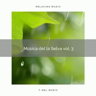 1 Música de la Selva vol. 3 by Pajaritos Cantando