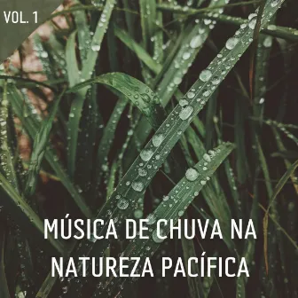 Música De Chuva Na Natureza Pacífica Vol. 1 by Música para Programar