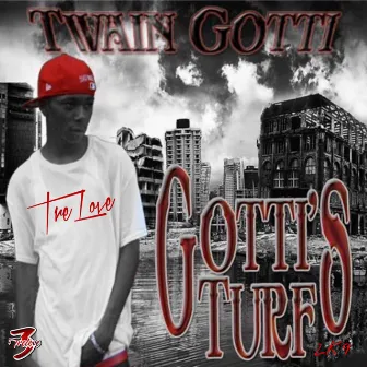 Gotti’s Turf by Twain Gotti