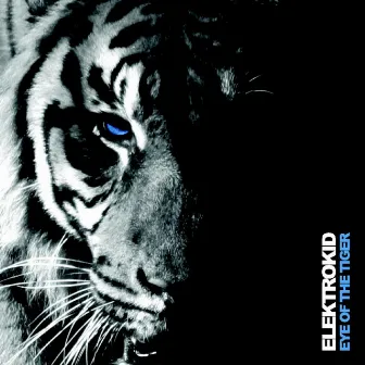 Eye of the tiger by Elektrokid