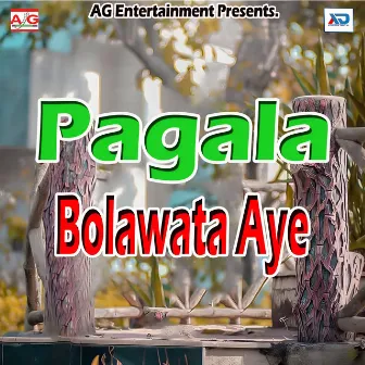 Pagala Bolawata Aye by Dinesh Josila