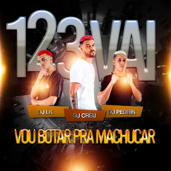 1 2 3 vai vou botar pra machucar by DJ Pedrin