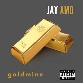 Goldmine by Jay Amo