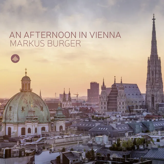 An Afternoon in Vienna