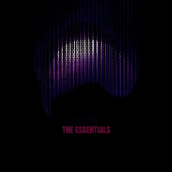 Phase One: The Essentials by Burtland