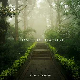 Tones of Nature by Adam By Nature