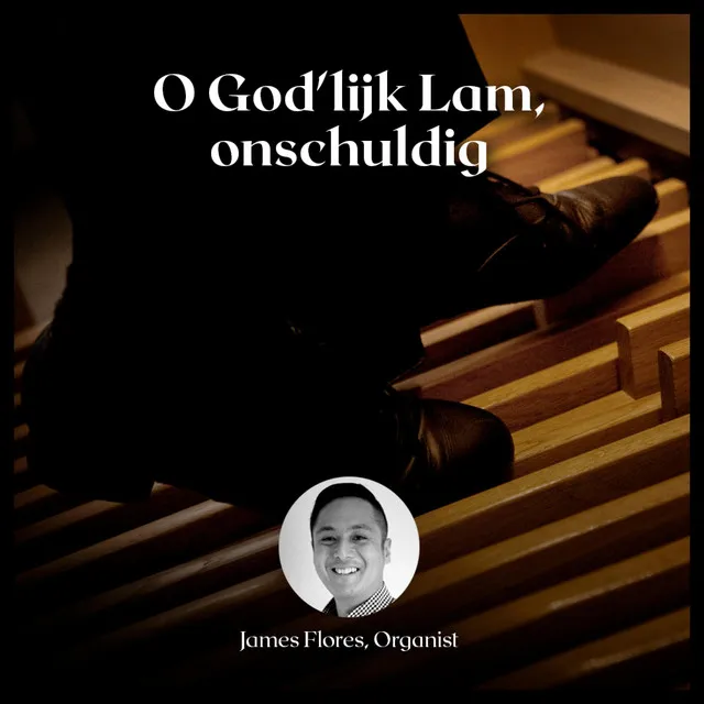 O God'lijk Lam, Onschuldig