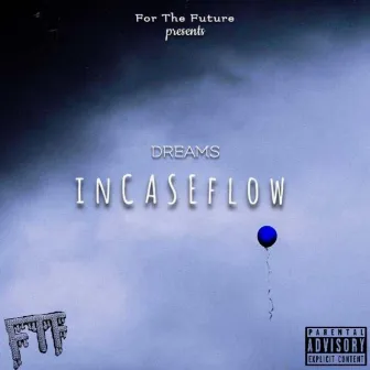 Incase Flow by Unknown Artist