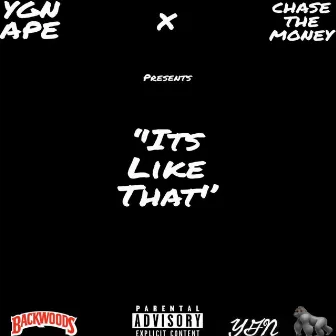 Its Like That by YGN Ape