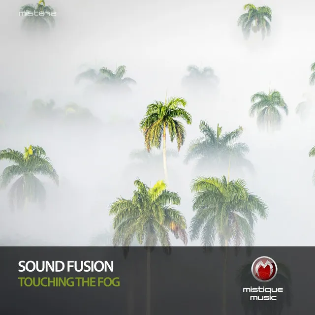 Touching the Fog - Original Mix