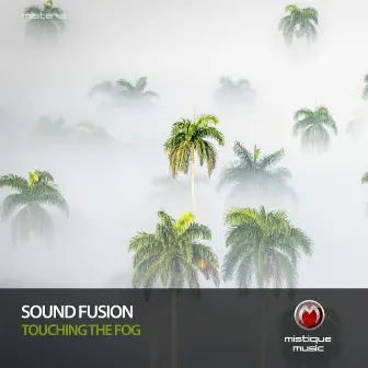 Touching the Fog by Sound Fusion