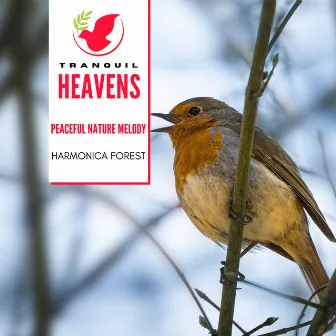 Peaceful Nature Melody - Harmonica Forest by The World of Nature Sounds