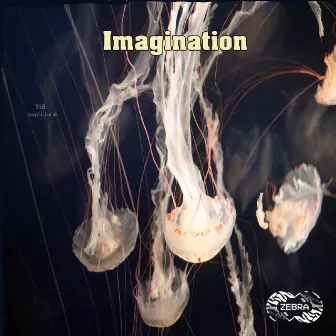 Imagination by Vid