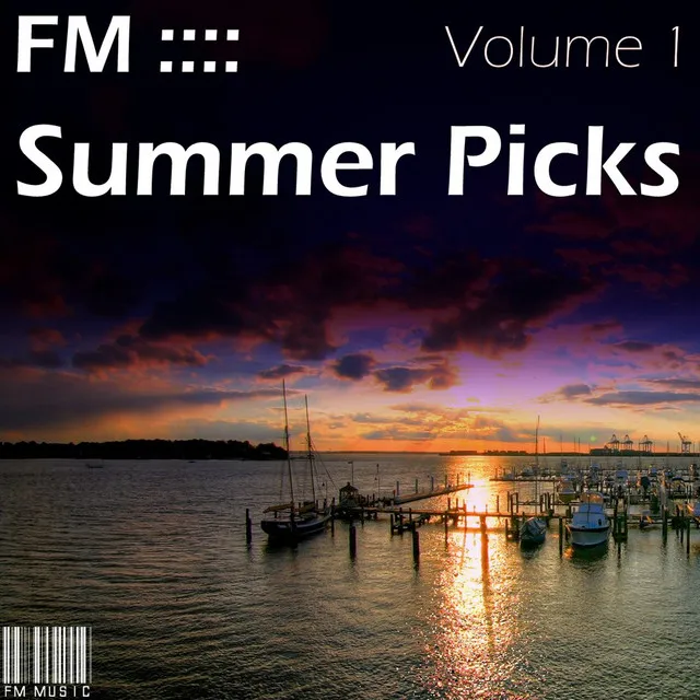 Summer Picks - DJ Mix - Continuous Mix