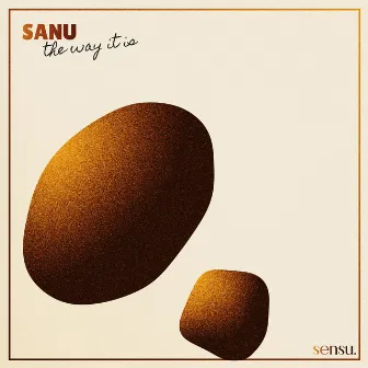 The Way It Is (Lofi Version) by Sanu